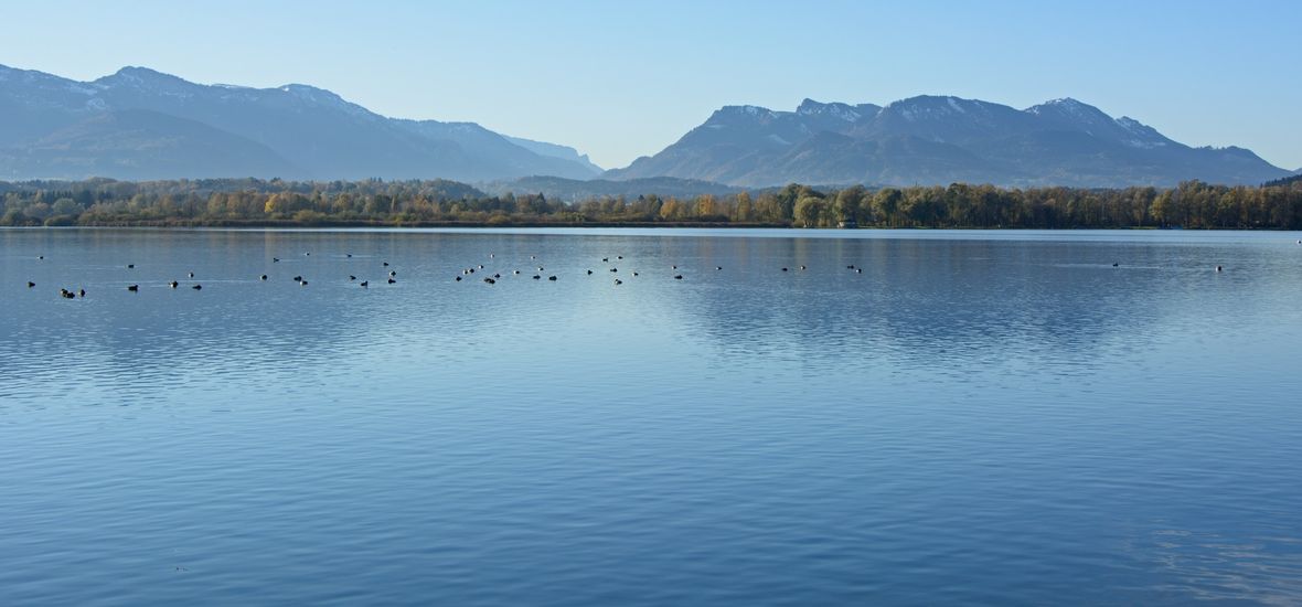 Chiemsee