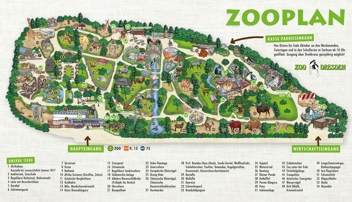 Zoo Dresden plan - map of the territory