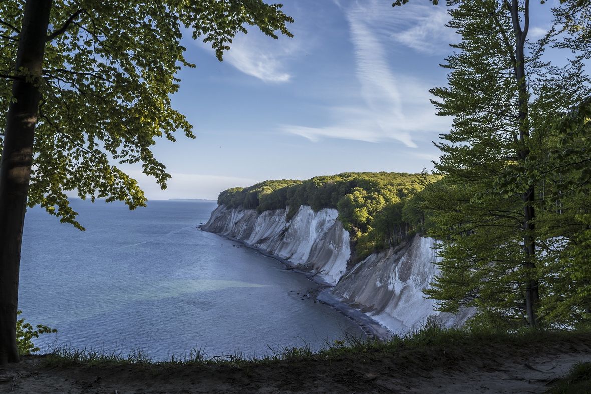 Jasmund national park