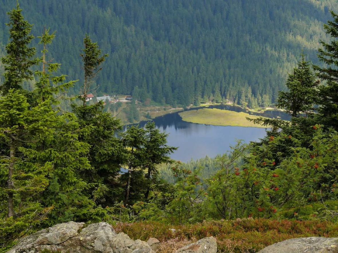 Naturpark Oberer Bayerischer Wald