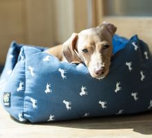 hunde bett