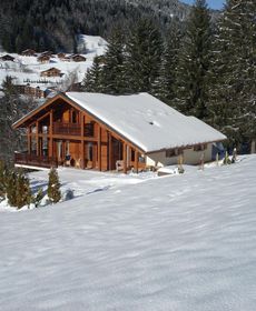 Sunny Chalet in Les Gets with Jacuzzi