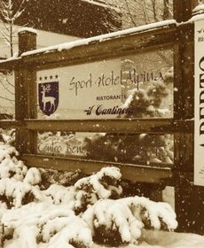 Sporthotel Alpina