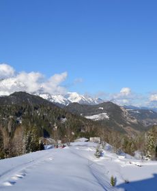 Innviertler Berggasthof