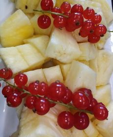 Schlechters Feriendomizil