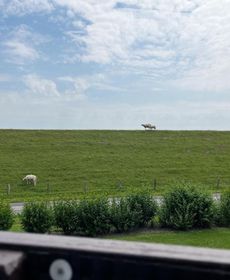 Haus Lith - Fewo Strandläufer