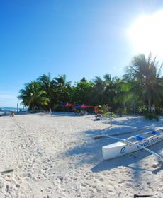 Evolution Dive And Beach Resort