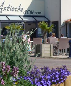 Camping Antioche D'Oleron