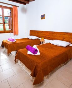 Olive Grove 2/3 Villa