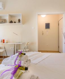 Charmy Petit 1 Bedroom Flat in Athens