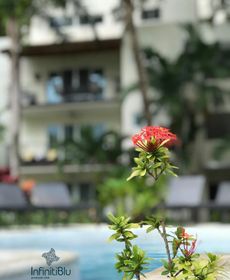 Infiniti BLU Luxury Ocean Front Condos