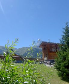 Studio Gamma