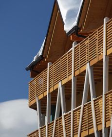 Hotel Delle Alpi