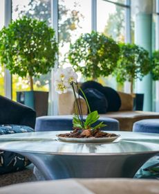 Spirit Hotel & Thermal SPA