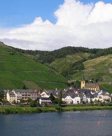 Veganhotel Nicolay 1881