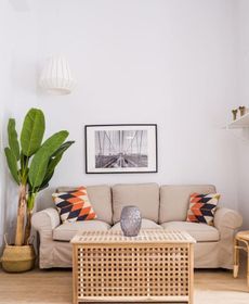 Cozy Apartment Valencia City Center!