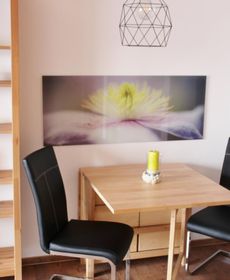 Ferienwohnung Forggensee-Blick