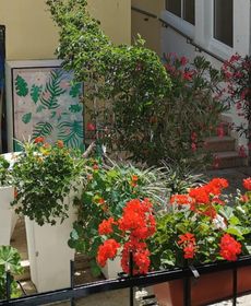 Lora de Luxe App 4st Amazing Sea & Park View