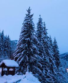 Appartement 6 Pers. À Proximité Des Remontées Mécaniques 70076