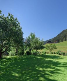 Stunning Apartment in Forstau Salzburg Near Ski Area