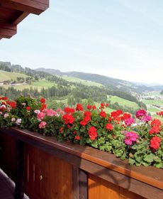 Sunny Apartment in Wagrain Austria with Balcony