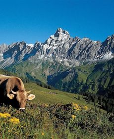 Cozy Holiday Home Near Skiing Area in Sankt Gallenkirch