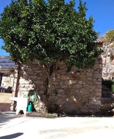 House in Oia - 104957 by Mo Rentals