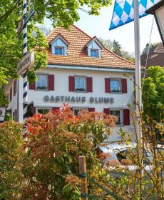 Zur Blume Hotel & Restaurant Efringen-Kirchen Bei Basel