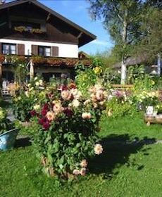 Gästehaus Drachenfels