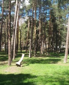 Apartment with 2 Bedrooms in Bardonecchia, with Wonderful Mountain Vie