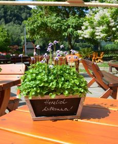 Pension Am Nationalpark