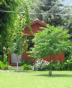 Alibaba Pension Cirali Olympos