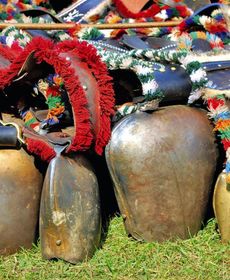 Country House Bilgeri Balderschwang - Dal01040-Cyb