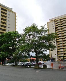 Terrassenhaus Waldblick 637