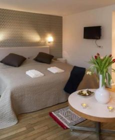 Tulips in the Heart of Amsterdam