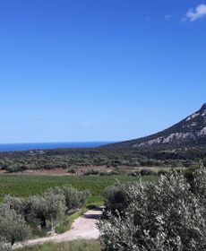 Agriturismo Su Barcu