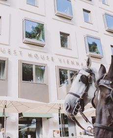 The Guesthouse Vienna