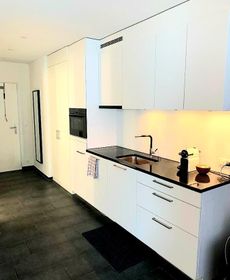 Central Zurich Apartment