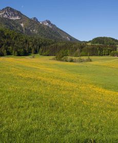 Ferienwohnung Panorama EG