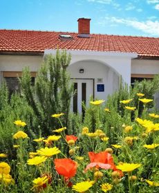 Rooms Hvar