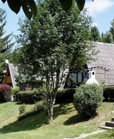 Holiday Home Vakantiepark Jägerwiesen 3