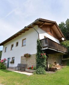 Quaint Holiday Home in Viechtach with Forest Nearby
