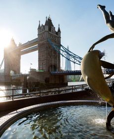 Veeve - Mary Graces Court