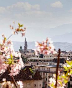 App 1 Palazzo Cavour