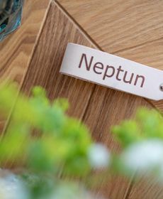 Neptun