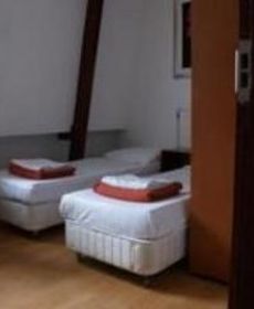 The White Tulip Hostel