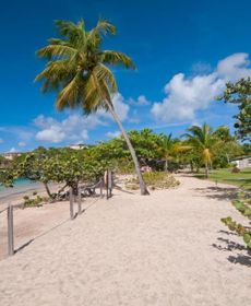 Lance Aux Epines Cottages