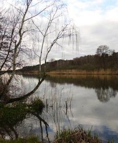 Cozy Holiday Home in Brandenburg Near Lake