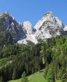 Das Almsternderl - Gemütliche Wohnung in Gosau