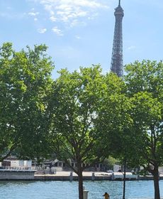 Vue Tour Eiffel 360 Paris a Vos Pieds